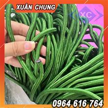 Dây Dù Tròn Xanh 3mm 5mm 6mm 8mm